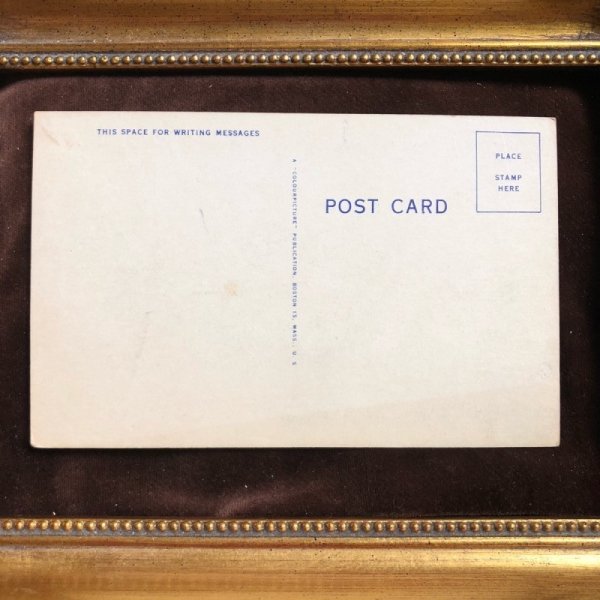 画像2: ▲SALE 500▲  Postcard 豚さん (2)