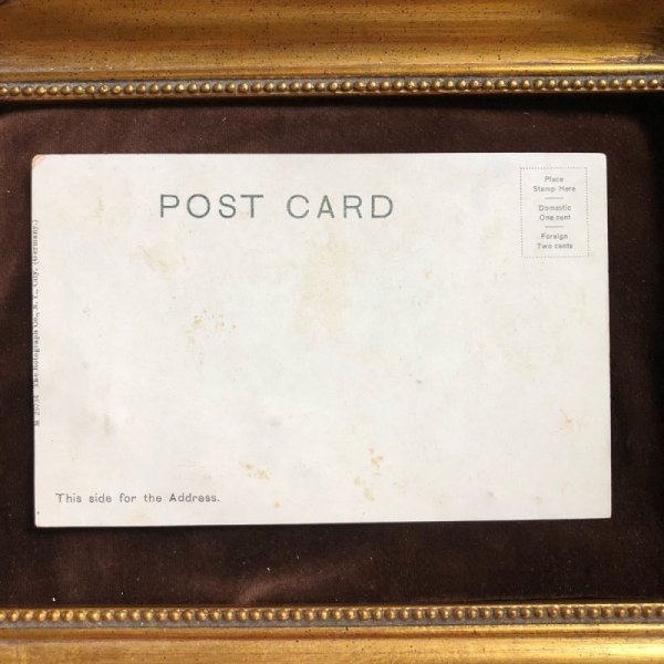 画像2: ▲SALE 500▲  Postcard 若い女性 Gialin Potocka 未使用 (2)