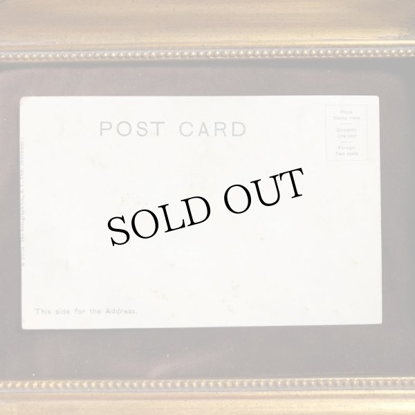 画像2: ▲SALE 500▲  Postcard　若い女性　Gialin Potocka　未使用 (2)