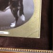 画像3: ▲SALE 500▲  Postcard　セントバーナード犬 (3)