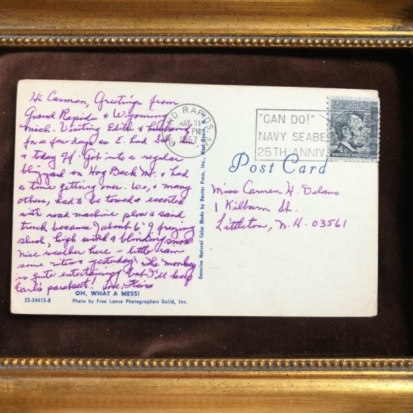 画像2: ▲SALE 500▲  Postcard 赤いペンキと長毛の犬 (2)