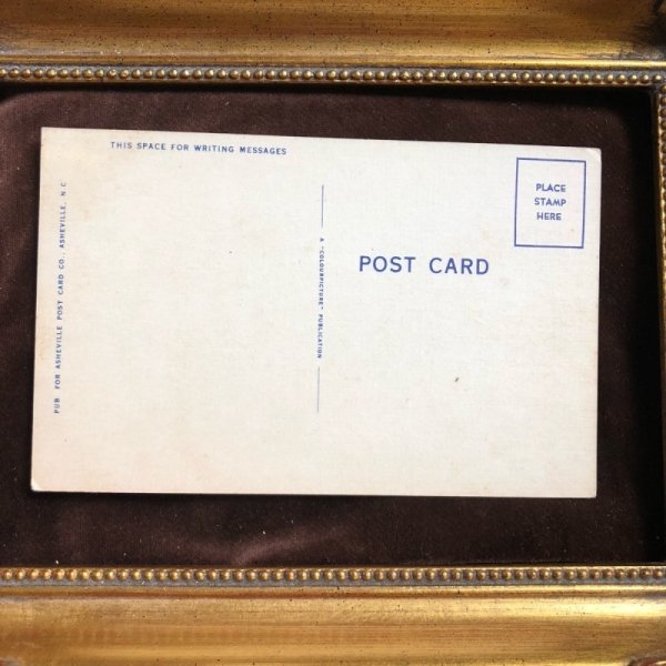 画像2: ▲SALE 500▲  Postcard 豚さん (2)