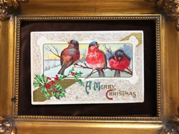 画像2: Postcard　クリスマス　小鳥　ロビン (2)
