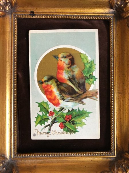 画像2: Postcard クリスマス 小鳥 ロビン 未使用 (2)