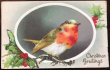 画像1: Postcard　クリスマス　ロビン　小鳥 (1)