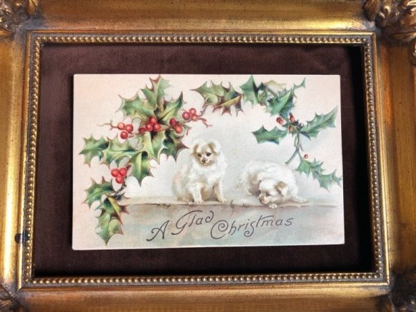 画像3: Postcard クリスマス 2匹の白い犬 ホーリー H.Maguire  未使用 (3)