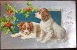 画像1: Postcard　クリスマス　2匹の子犬　スパニエル　H.Maguire (1)