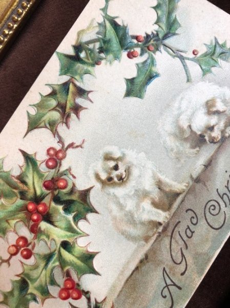 画像2: Postcard クリスマス 2匹の白い犬 ホーリー H.Maguire  未使用 (2)