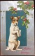 画像1: Postcard　クリスマス　芸をするテリア犬　H.Maguire 1907年 (1)