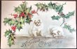 画像1: Postcard　クリスマス　2匹の白い犬　ホーリー　H.Maguire 　未使用 (1)