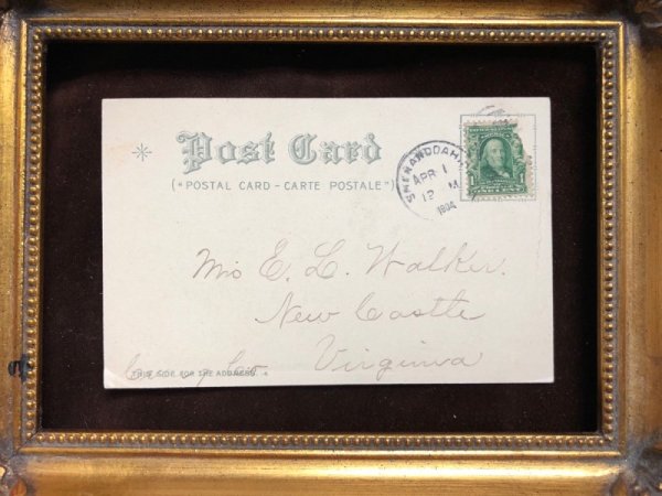 画像4: Postcard 子犬とヒヨコ Helena Maguire 1904年 (4)