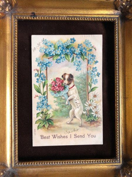 画像3: Postcard 花束を持つテリア犬 忘れな草のお花 1910年 (3)