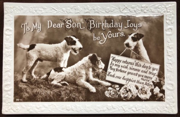 画像2: Postcard 3匹のワイヤーフォックス犬 (2)