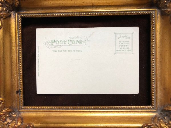 画像4: Postcard 箱から出てきたパグ犬 (4)