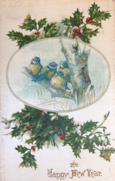 画像1: Postcard　新年祝い　New Year　小鳥とホーリー　シルク貼り 1909年 (1)