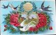 画像1: Postcard　ツバメと白鳩と薔薇のお花 (1)