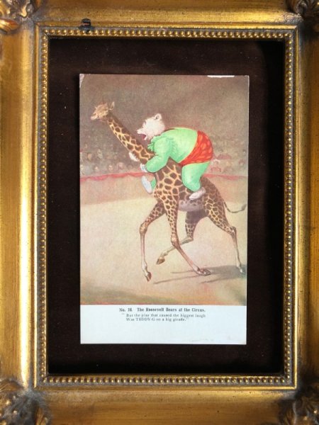 画像3: Postcard  キリンに乗るルーズベルト熊 サーカス (3)