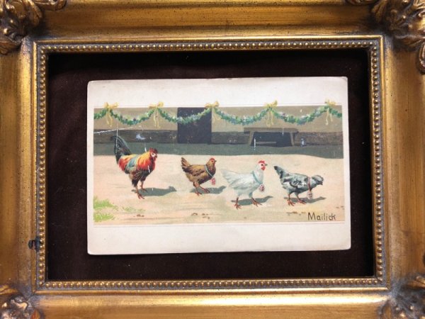 画像3: Postcard  いろいろな種類のニワトリ Mailick フランス1903年 (3)
