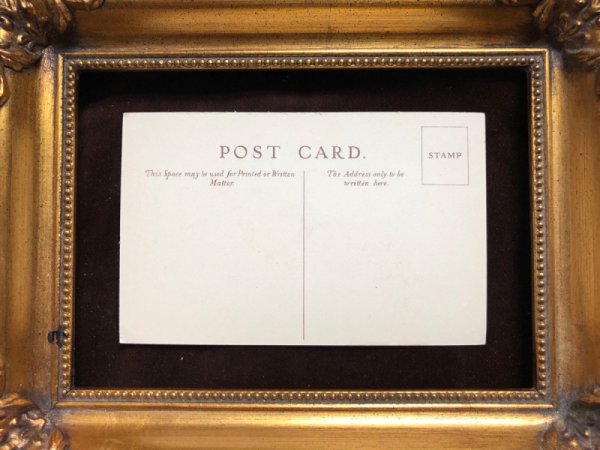 画像4: Postcard チャウチャウ犬 CHOW-CHOW CHING FOO 未使用 (4)