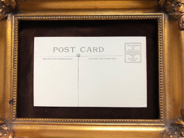 画像4: Postcard  キリンに乗るルーズベルト熊 サーカス (4)