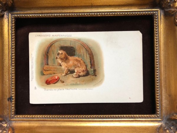 画像3: ▼SALE 500▼  Postcard 犬とカタツムリ 未使用 (3)