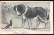 画像2: Postcard　セントバーナード犬とミニチュアピンシャー犬　Stanley Berkeley (2)