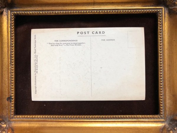 画像4: Postcard ホームレスの犬 テリア犬 (4)