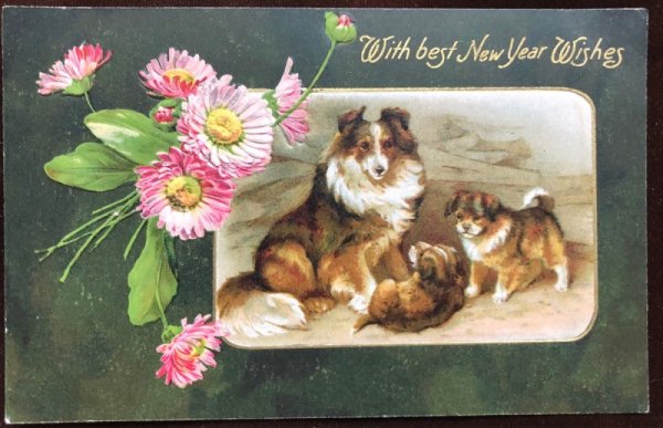 画像2: Postcard コリー犬の家族 Helena Maguire 1909年 (2)