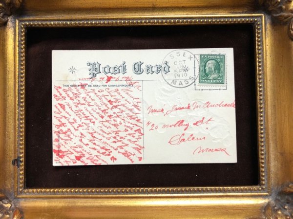 画像5: Postcard 白い子犬たち Helena Maguire 1910年 (5)