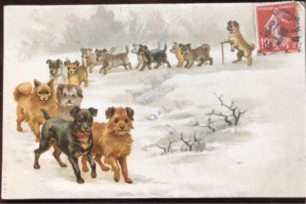 画像2: Postcard 並んで歩く犬たち Helena Maguire (2)