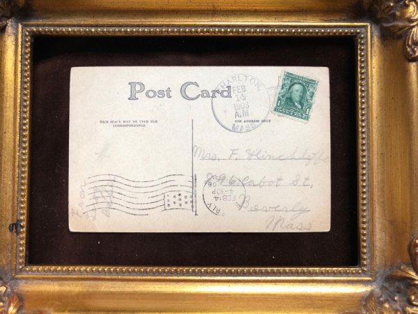 画像3: Postcard スパニエル犬 1908年 (3)