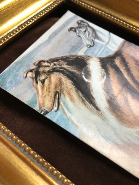 画像3: Postcard コリー犬 音の仕掛け付き (3)