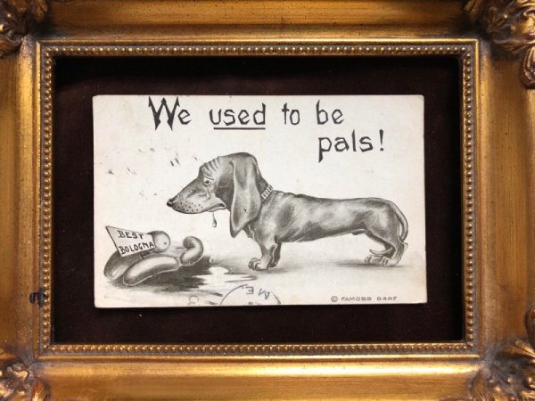 画像2: Postcard 泣くダックスフンド犬とソーセージ 1909年 (2)