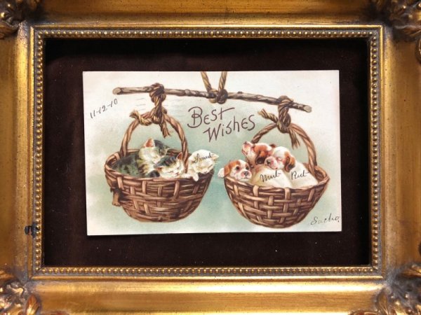 画像3: Postcard 子犬と子猫の天秤のバスケット Helena Maguire 1910年 (3)