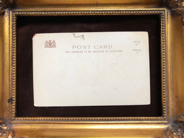 画像4: ▼SALE 500▼  Postcard 犬とカタツムリ 未使用 (4)