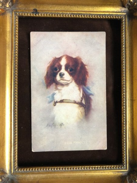 画像2: Postcard スパニエル犬 1908年 (2)