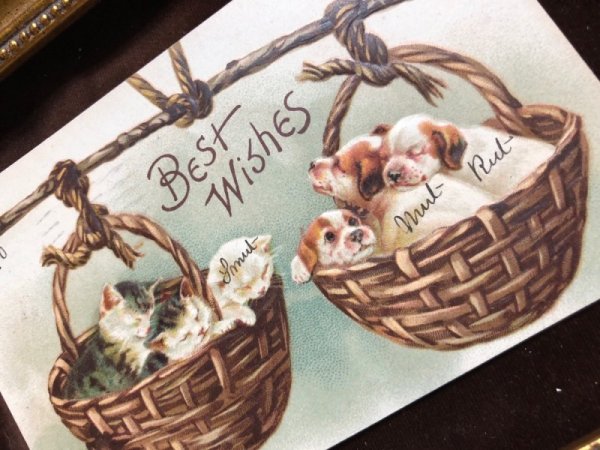 画像2: Postcard 子犬と子猫の天秤のバスケット Helena Maguire 1910年 (2)