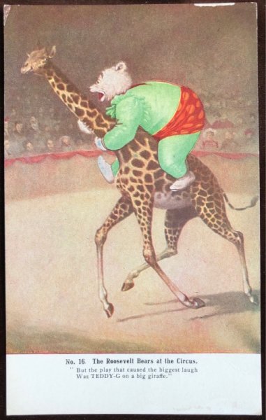 画像1: Postcard 　キリンに乗るルーズベルト熊　サーカス (1)