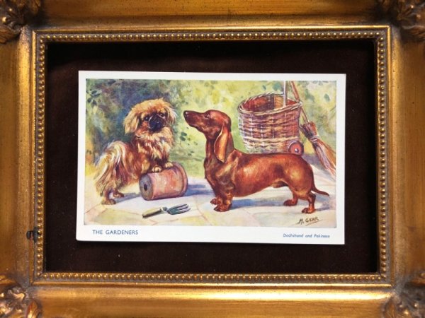 画像2: Postcard ダックスフンド犬とペキニーズ犬 ガーデニング M.Gear (2)