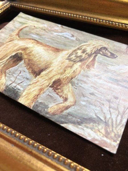 画像2: Postcard アフガンハウンド犬 音の仕掛け付き (2)