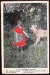 画像1: Postcard　童話　赤ずきんちゃんとオオカミ　1908年 (1)