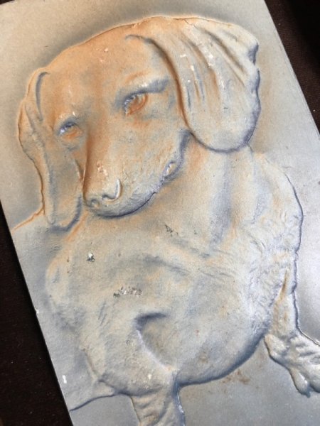 画像2: Postcard ダックスンド犬 1907年 (2)