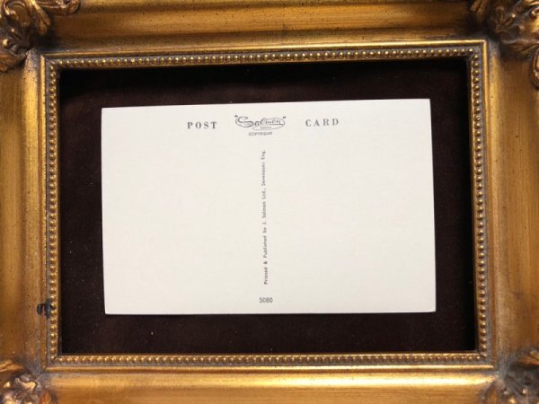 画像3: Postcard ダックスフンド犬とペキニーズ犬 ガーデニング M.Gear (3)