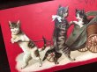画像2: Postcard　猫のリキシャ　1911年 (2)
