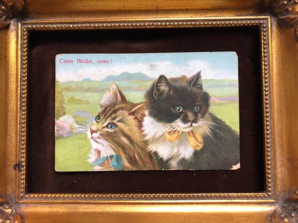 画像3: ▼SALE 500▼  Postcard 2匹の子猫 (3)