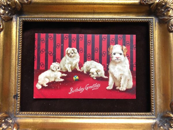 画像2: Postcard 白い子犬たち Helena Maguire 1910年 (2)