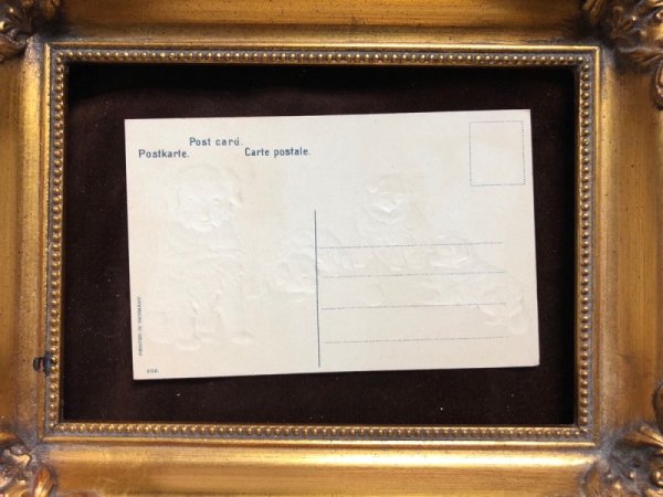 画像4: Postcard　4匹の白い子犬　 (4)