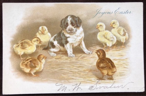 画像2: Postcard 子犬とヒヨコ Helena Maguire 1904年 (2)