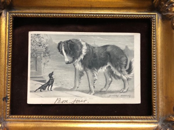 画像3: Postcard セントバーナード犬とミニチュアピンシャー犬 Stanley Berkeley (3)