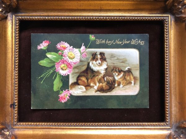 画像3: Postcard コリー犬の家族 Helena Maguire 1909年 (3)